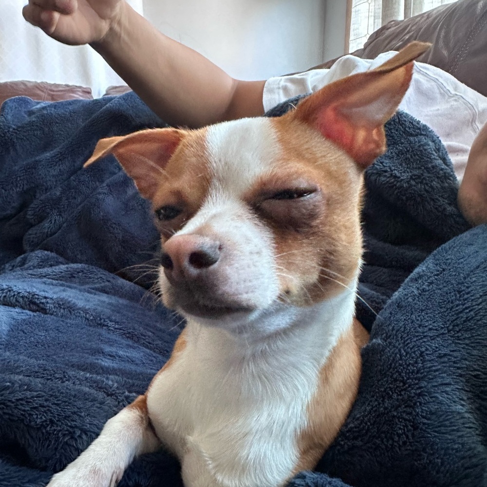 Meet your Posher, Aboll